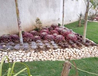 Landscaping — Kisii Site — image 2